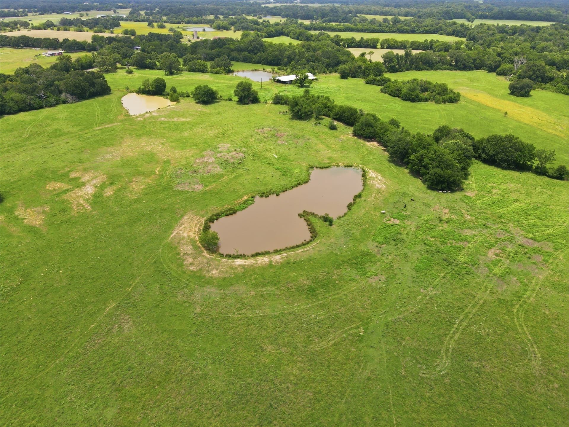 20 acres in Hopkins County - photo 8