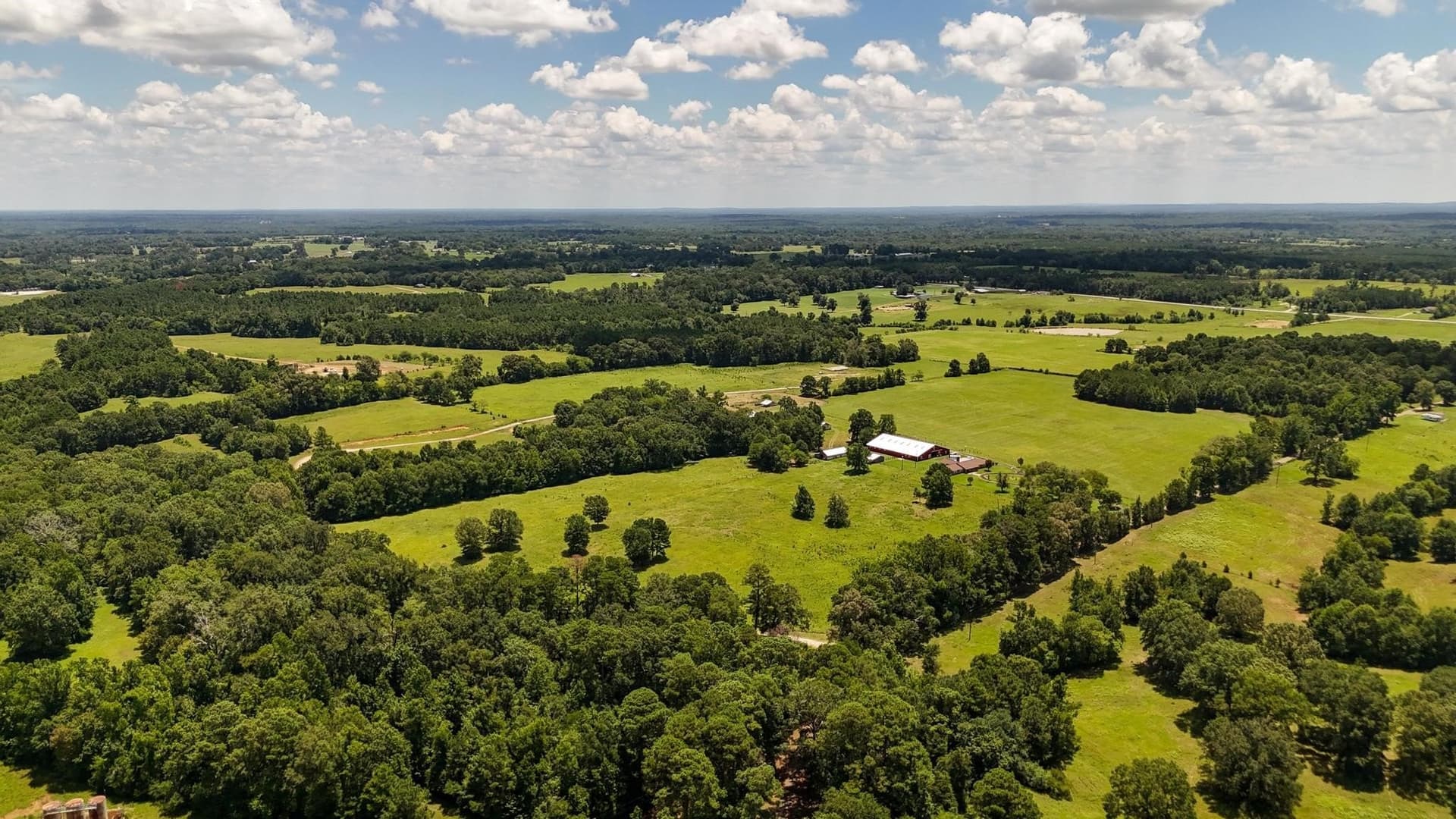 79.26 acres in Panola County - photo 6