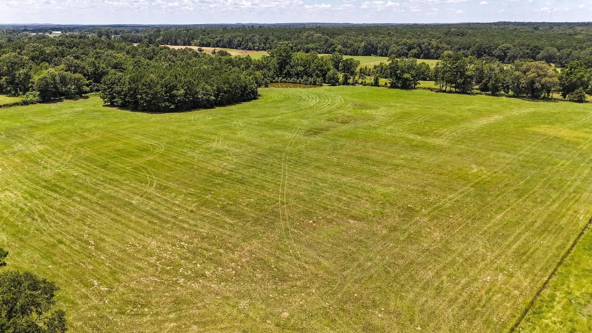79.26 acres in Panola County - photo 8