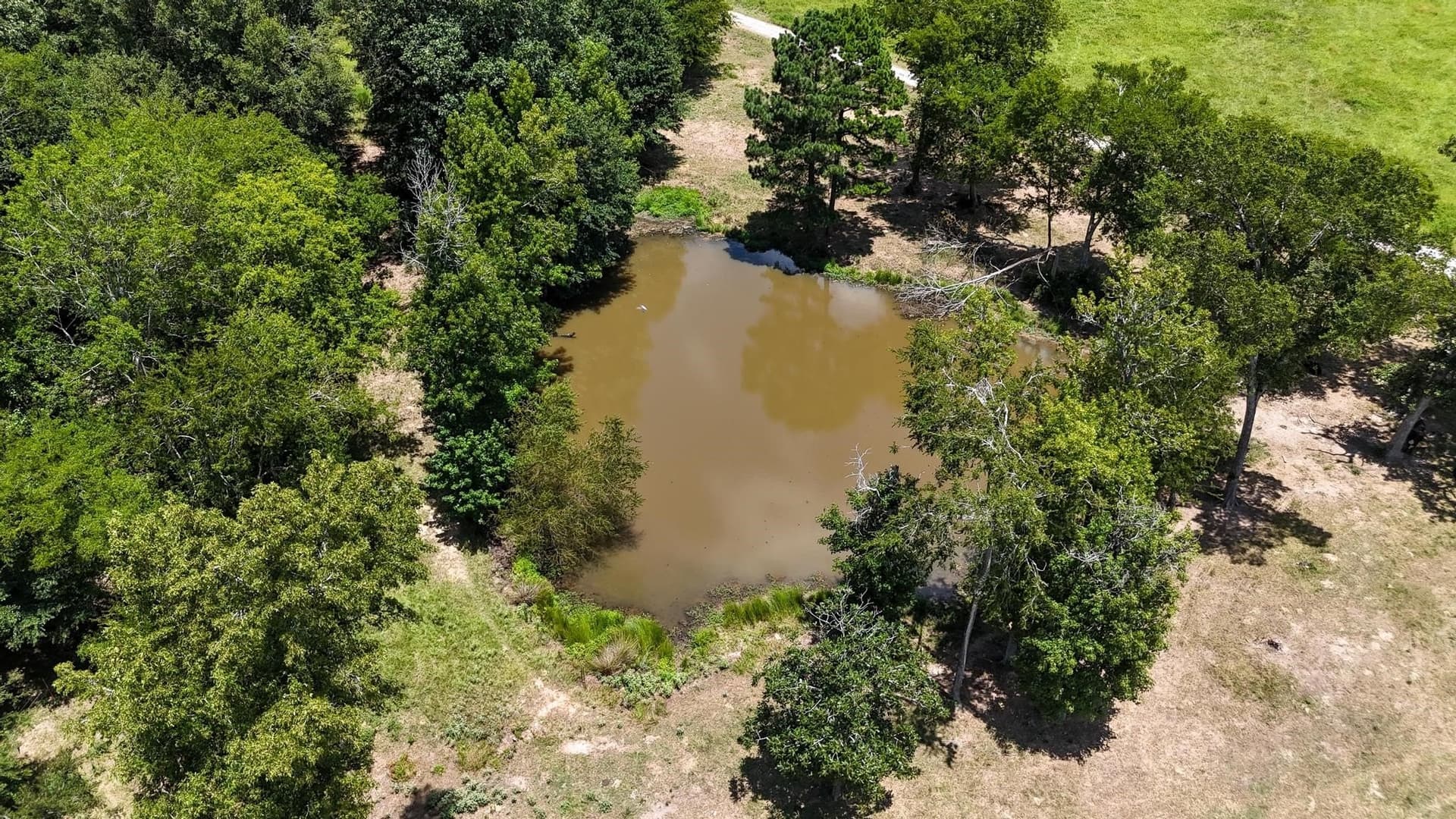 79.26 acres in Panola County - photo 11