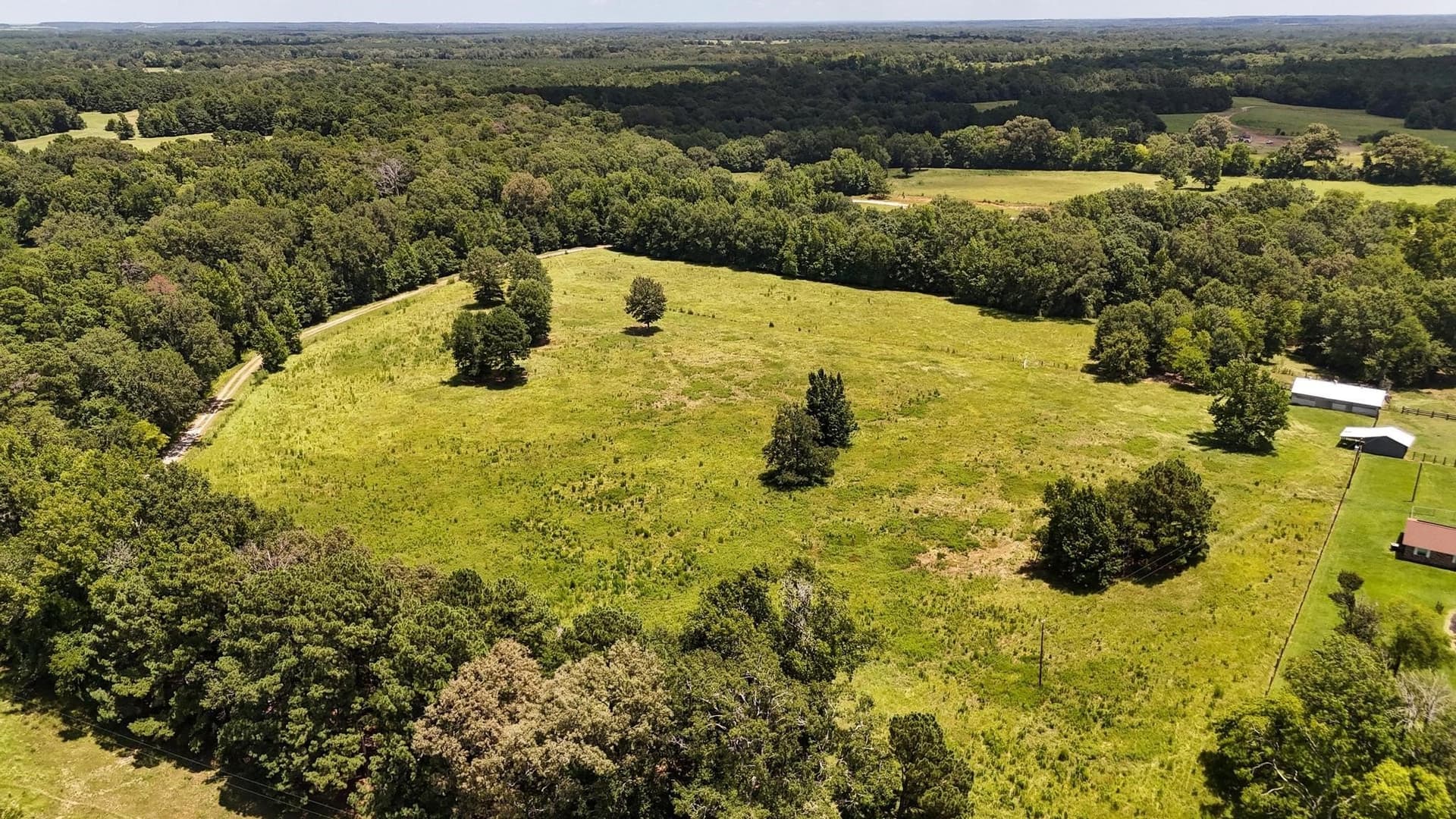 79.26 acres in Panola County - photo 19