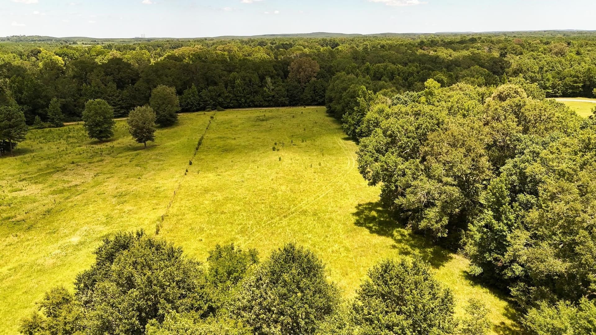 79.26 acres in Panola County - photo 2
