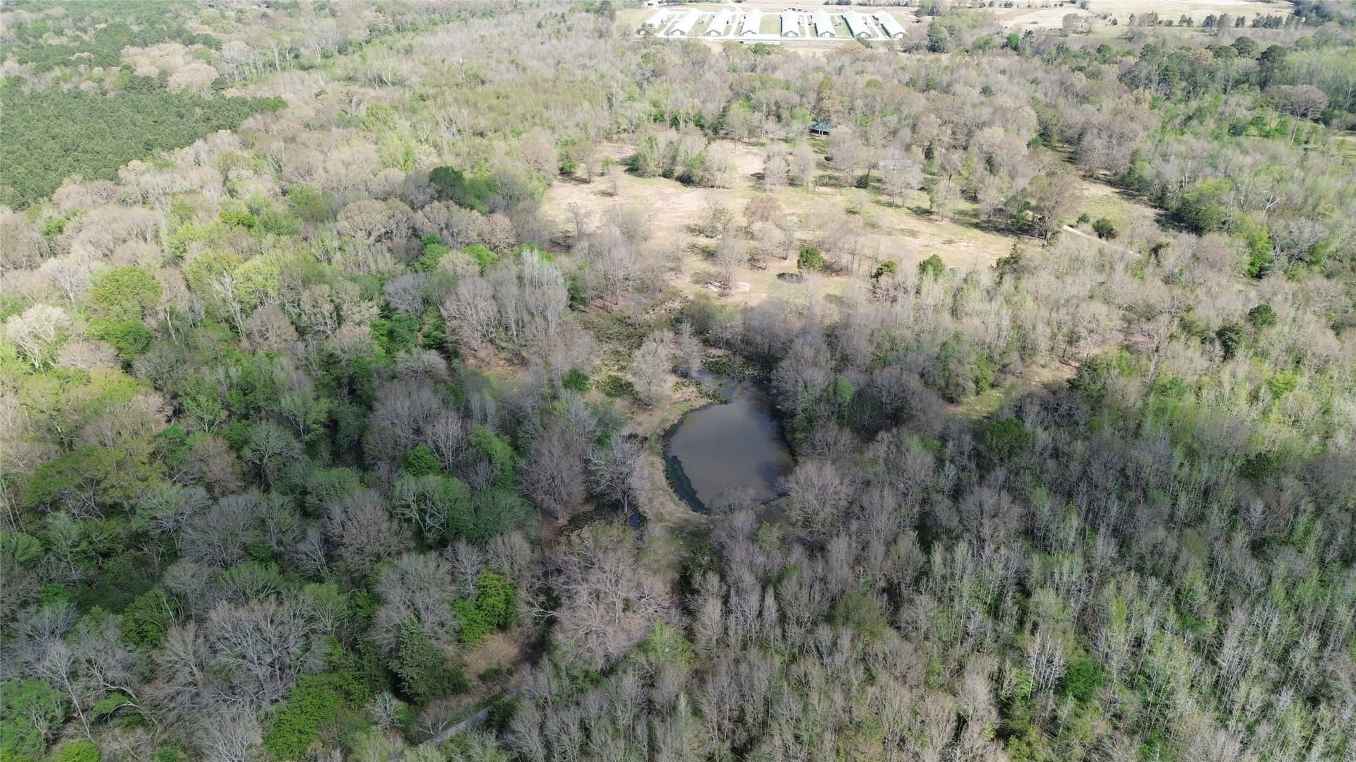 16.42 acres in Camp County - photo 4