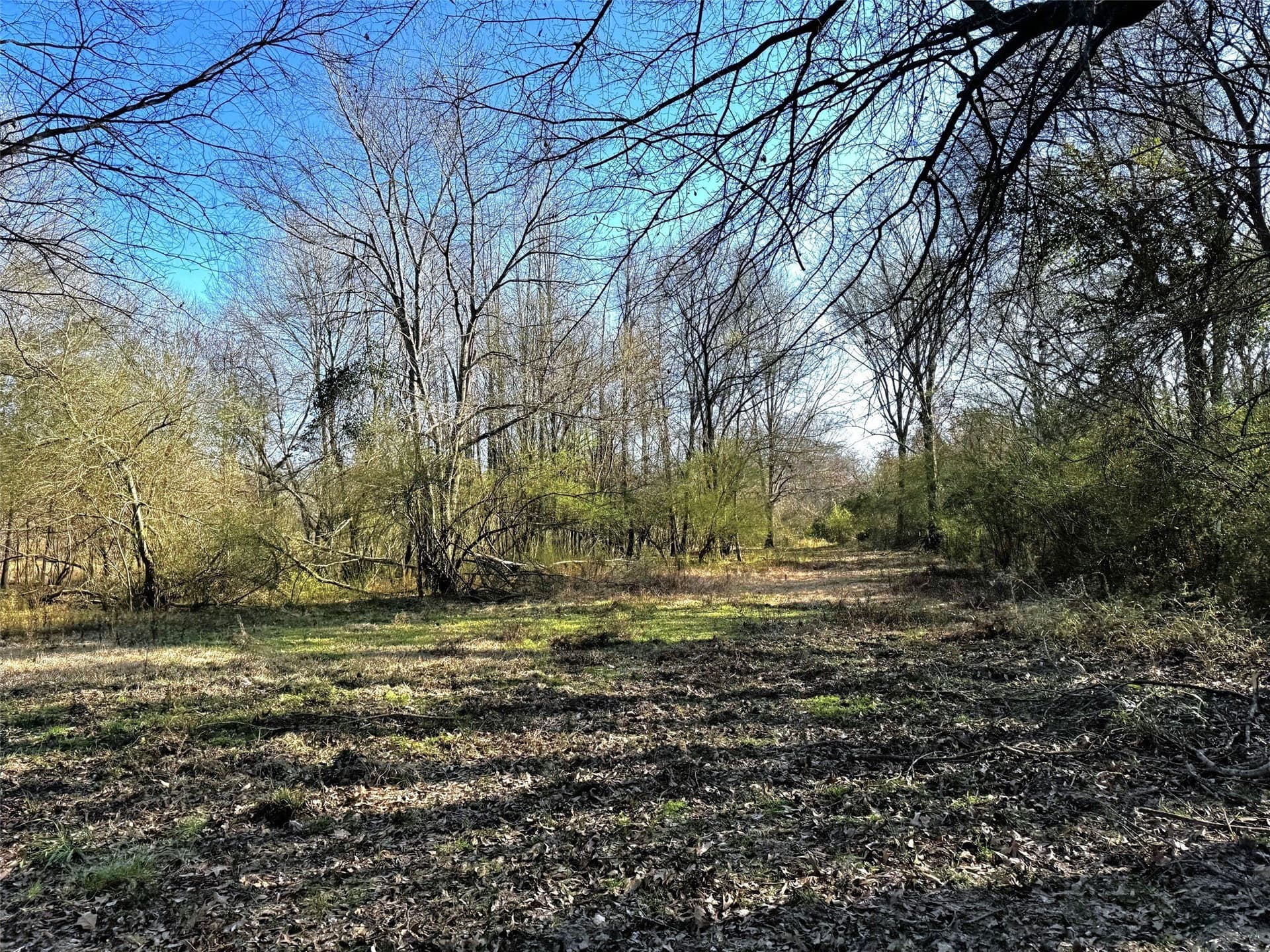 16.42 acres in Camp County - photo 11