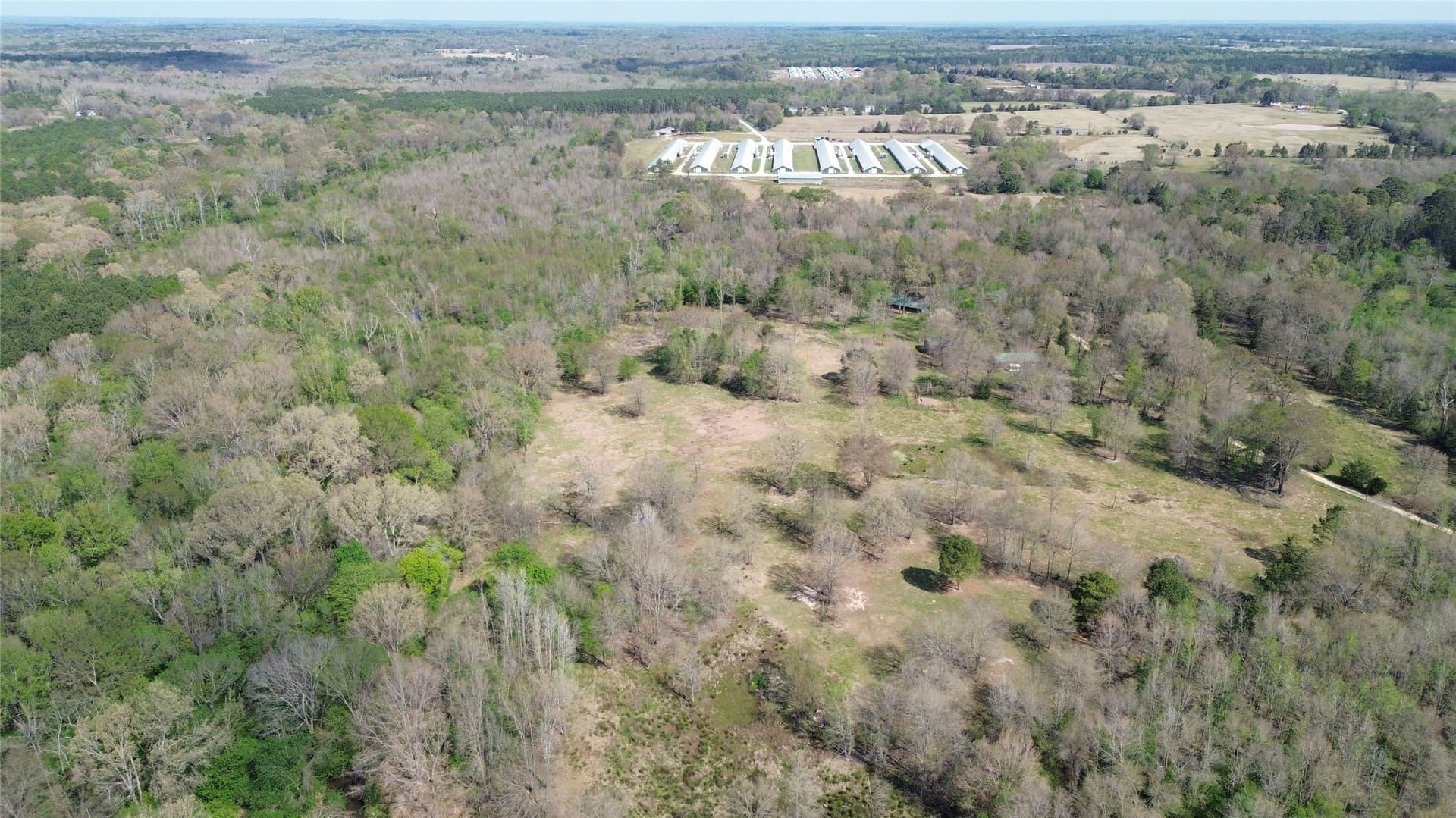 16.42 acres in Camp County - photo 9
