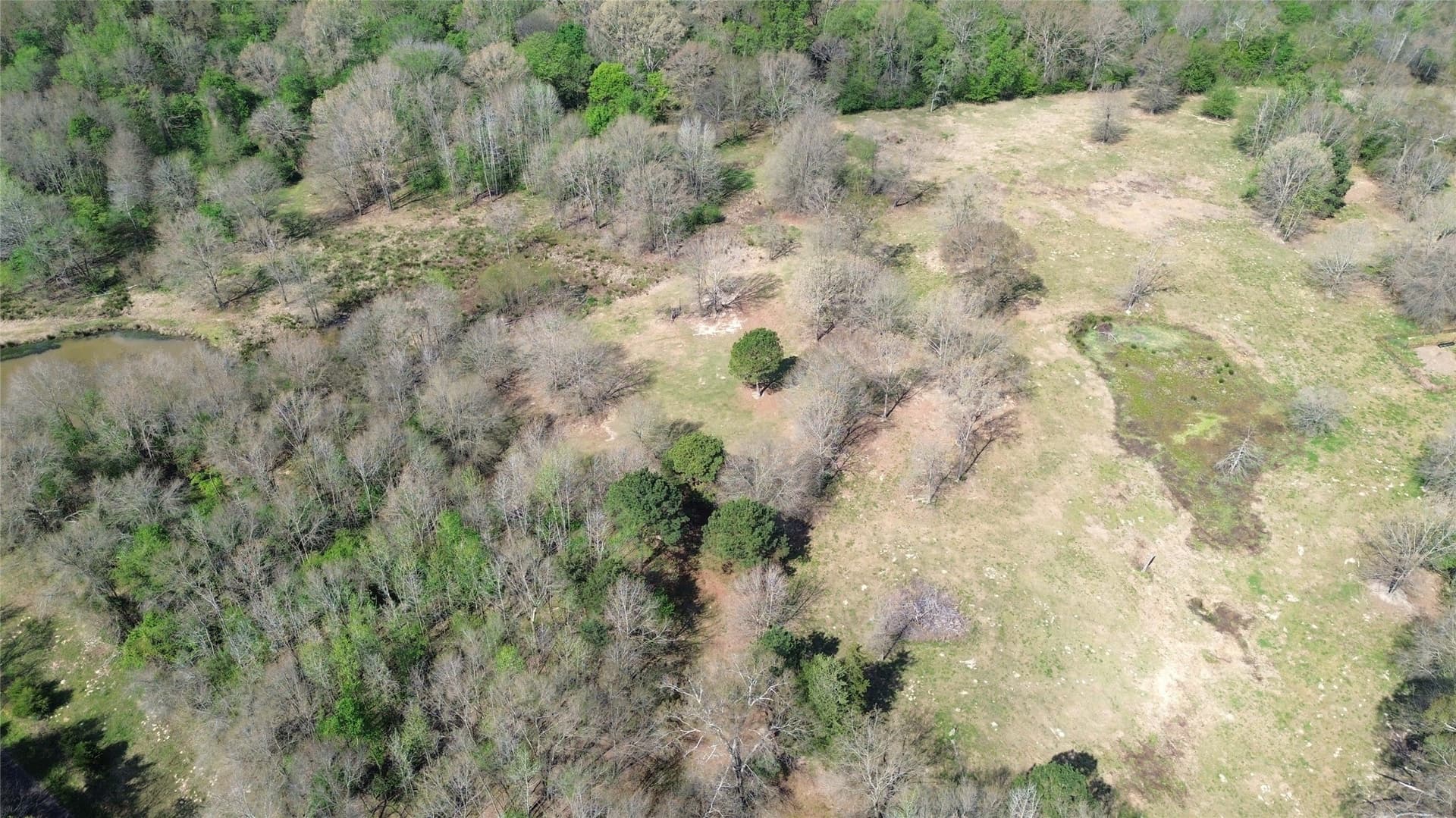 16.42 acres in Camp County - photo 5