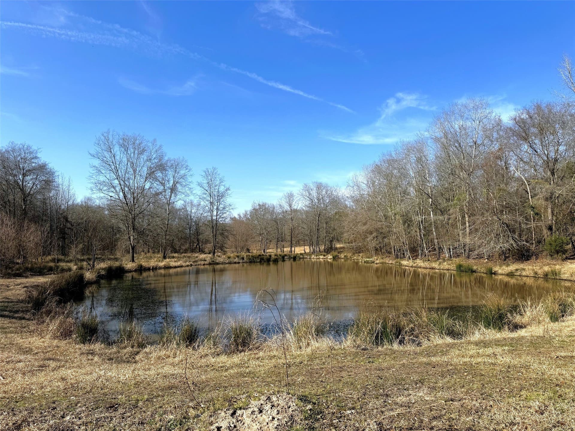 16.42 acres in Camp County - photo 10