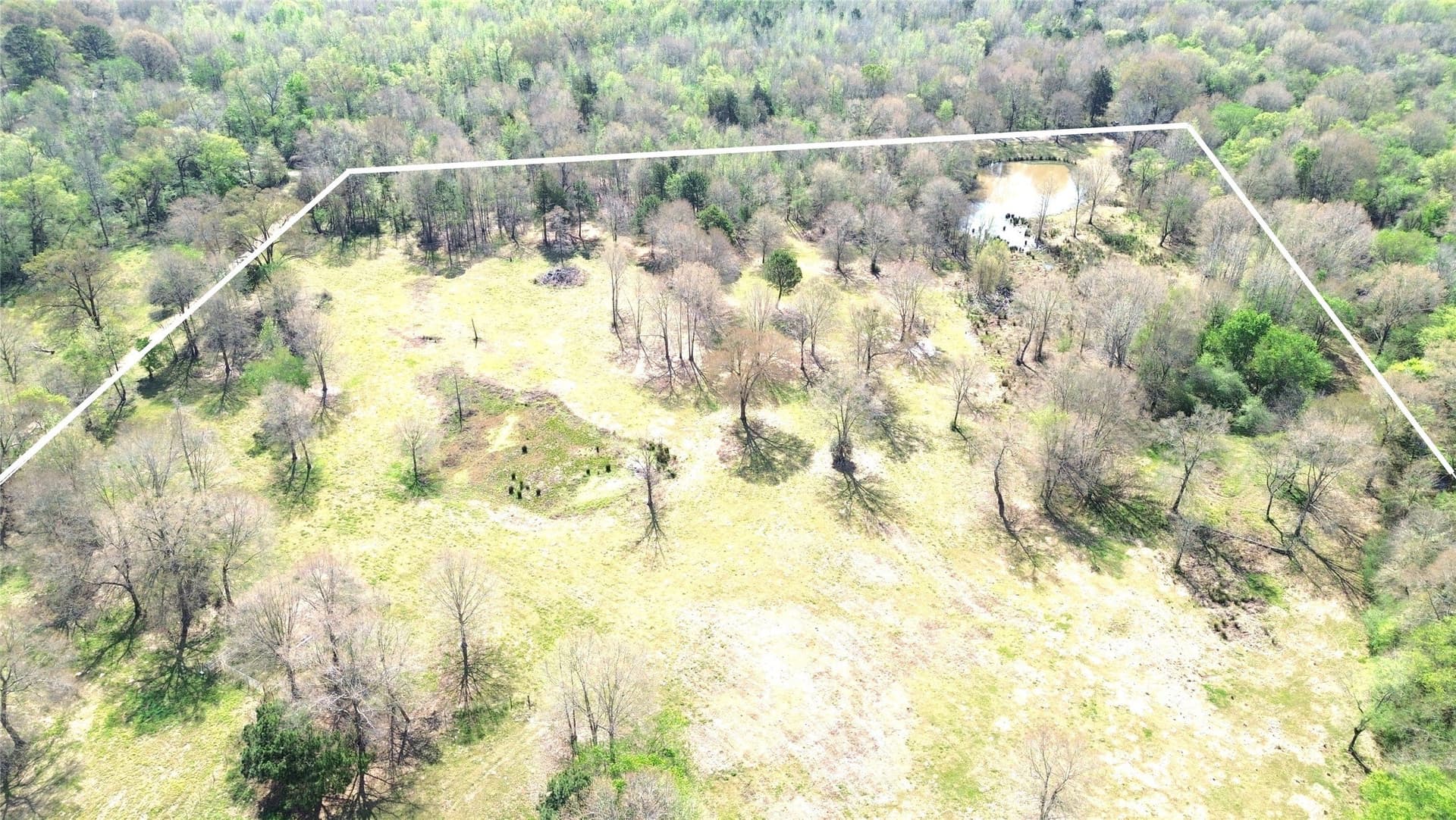 16.42 acres in Camp County - photo 2
