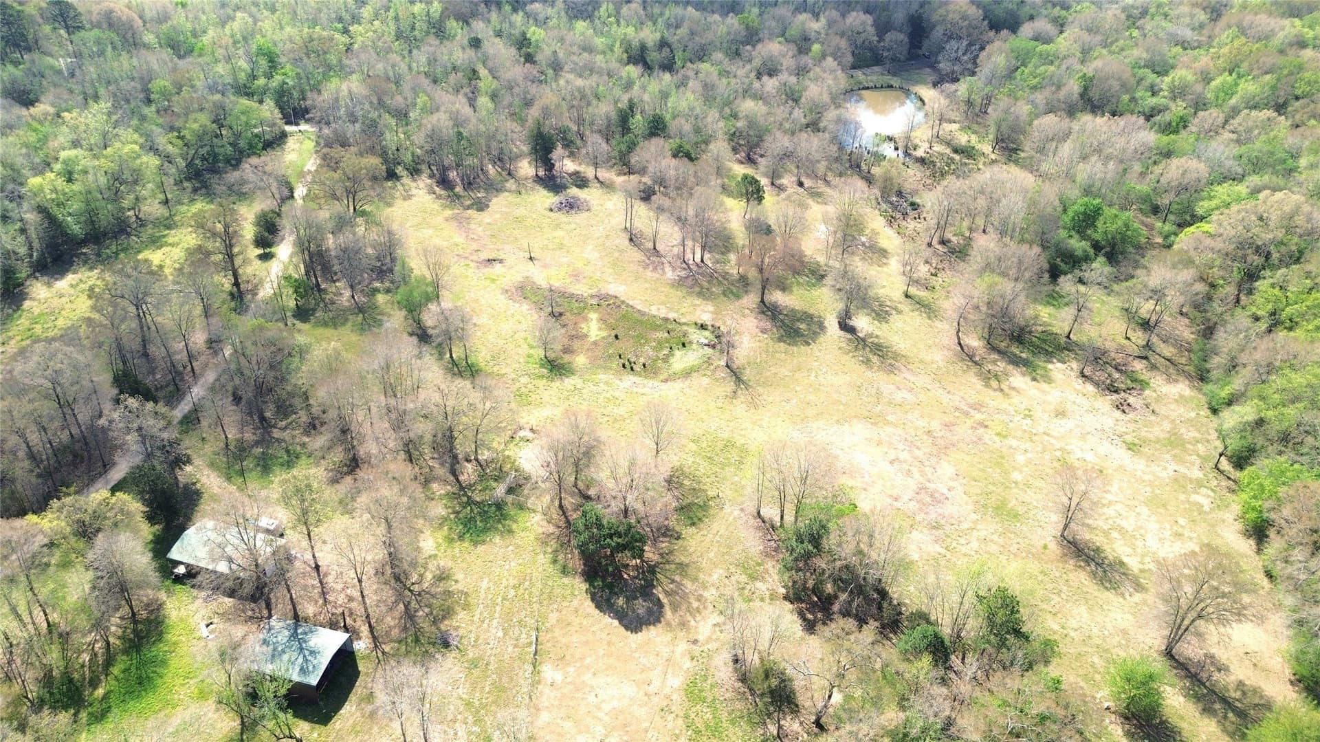 16.42 acres in Camp County - photo 8