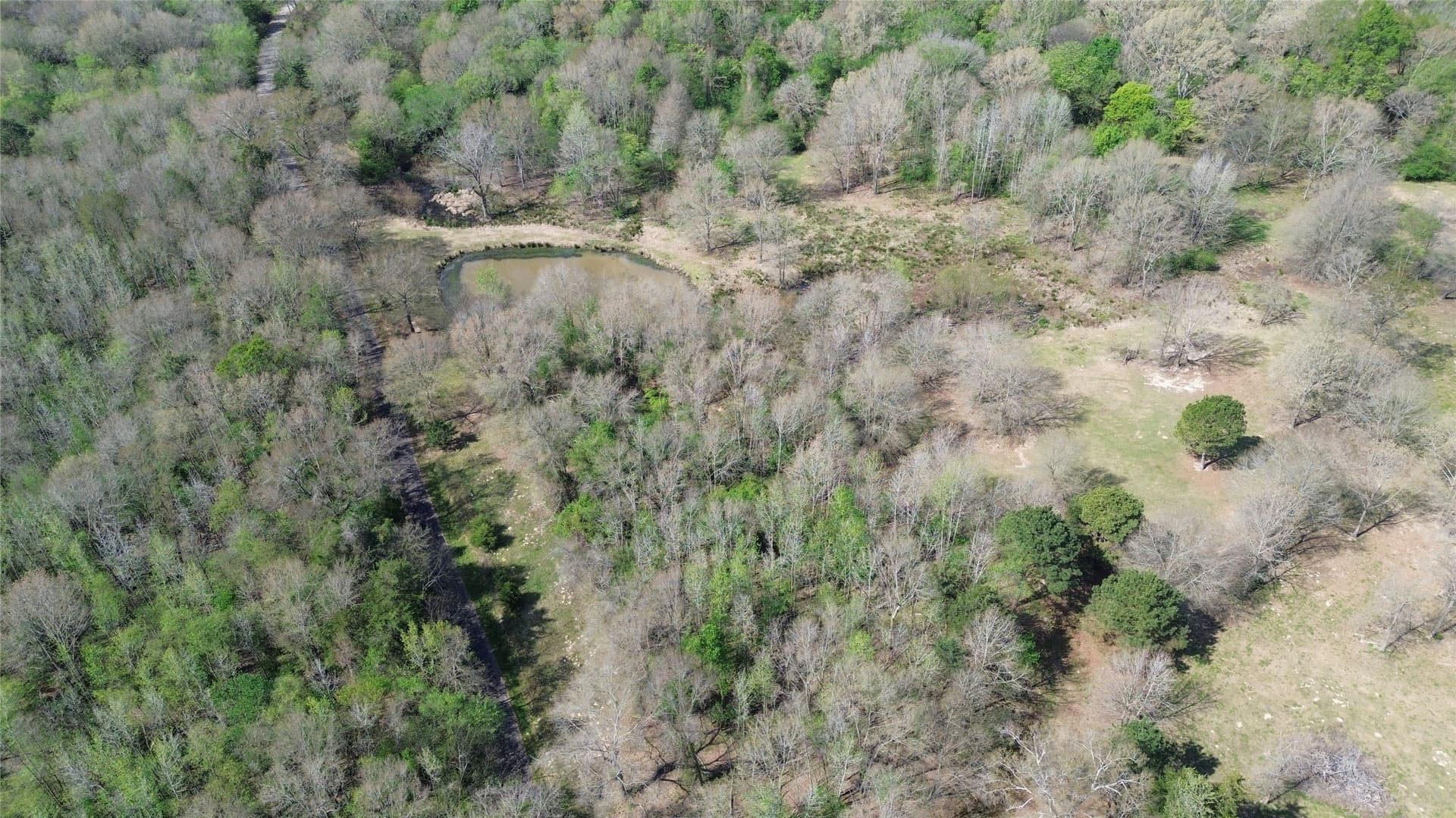 16.42 acres in Camp County - photo 6