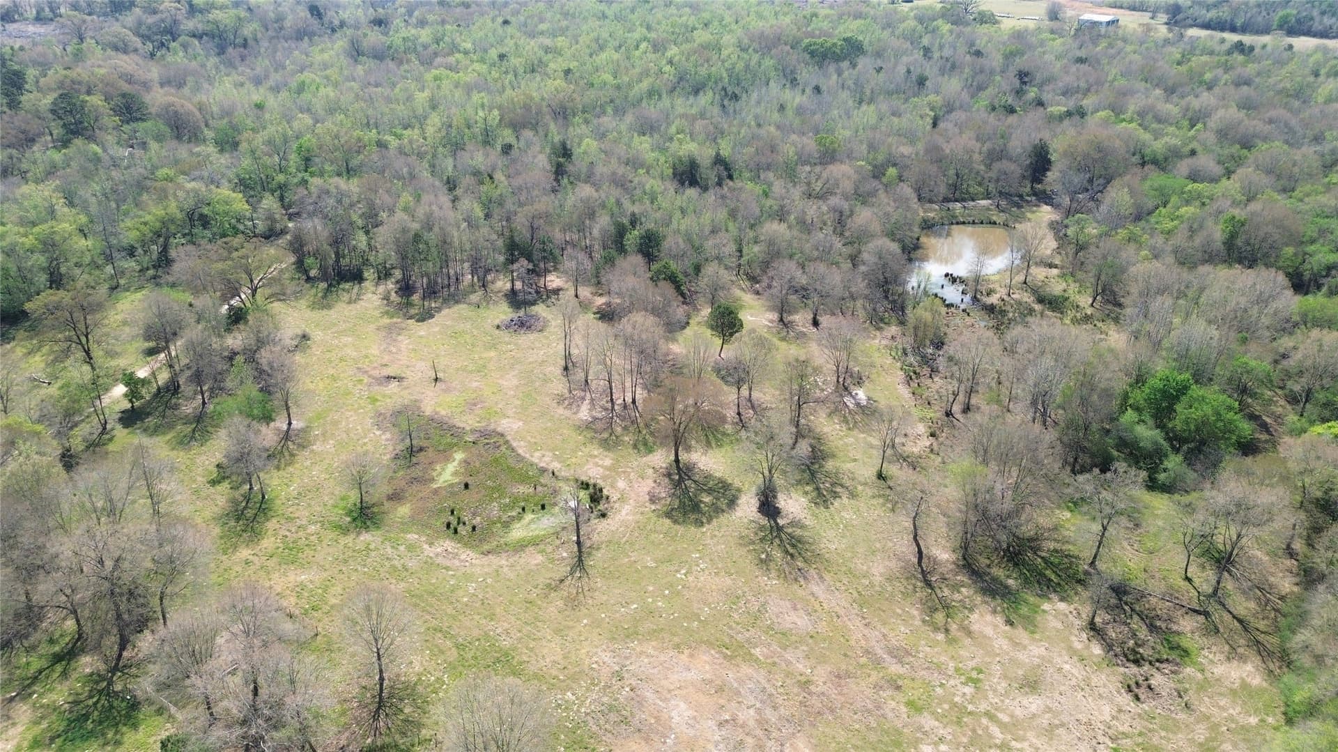 16.42 acres in Camp County - photo 7