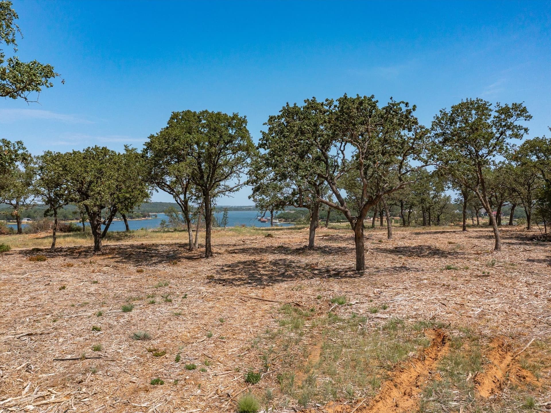 2 acres in Montague County gallery image 3