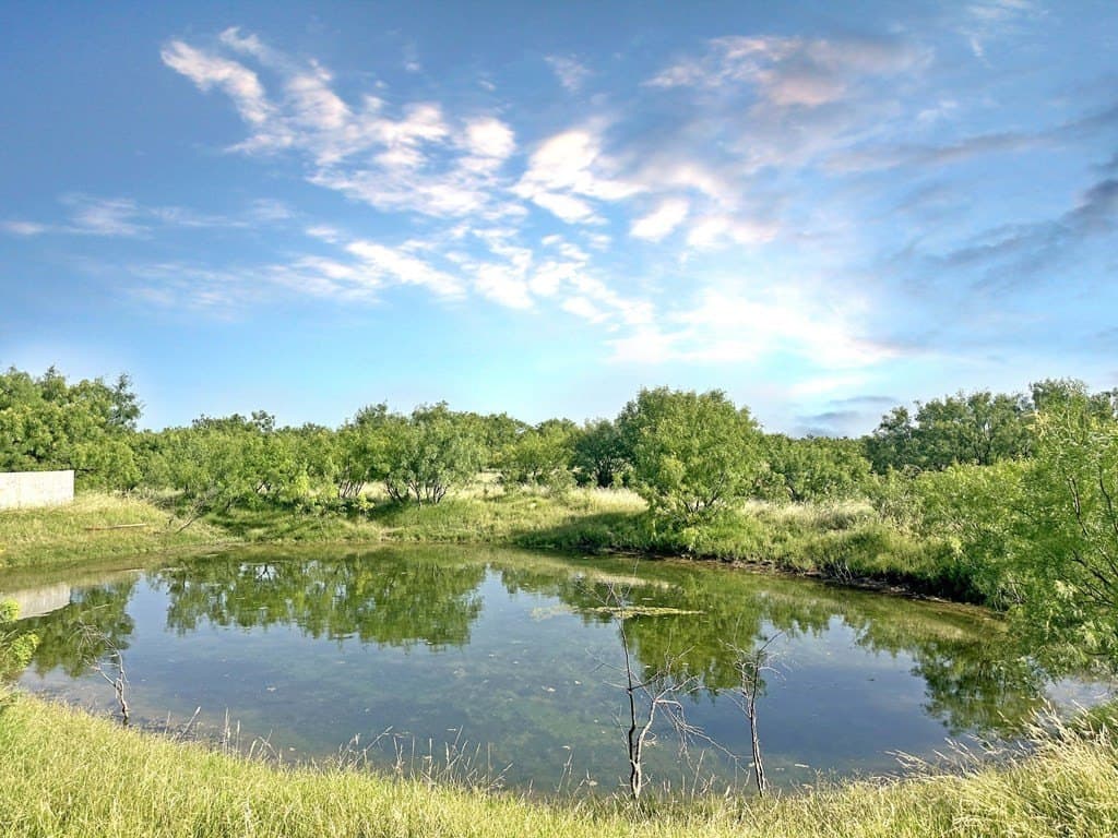 82 acres in Schleicher County - photo 11