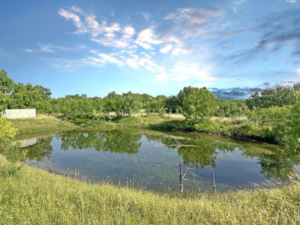 82 acres in Schleicher County featured view