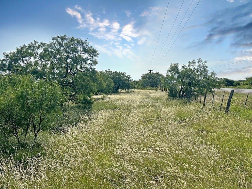 82 acres in Schleicher County - photo 12