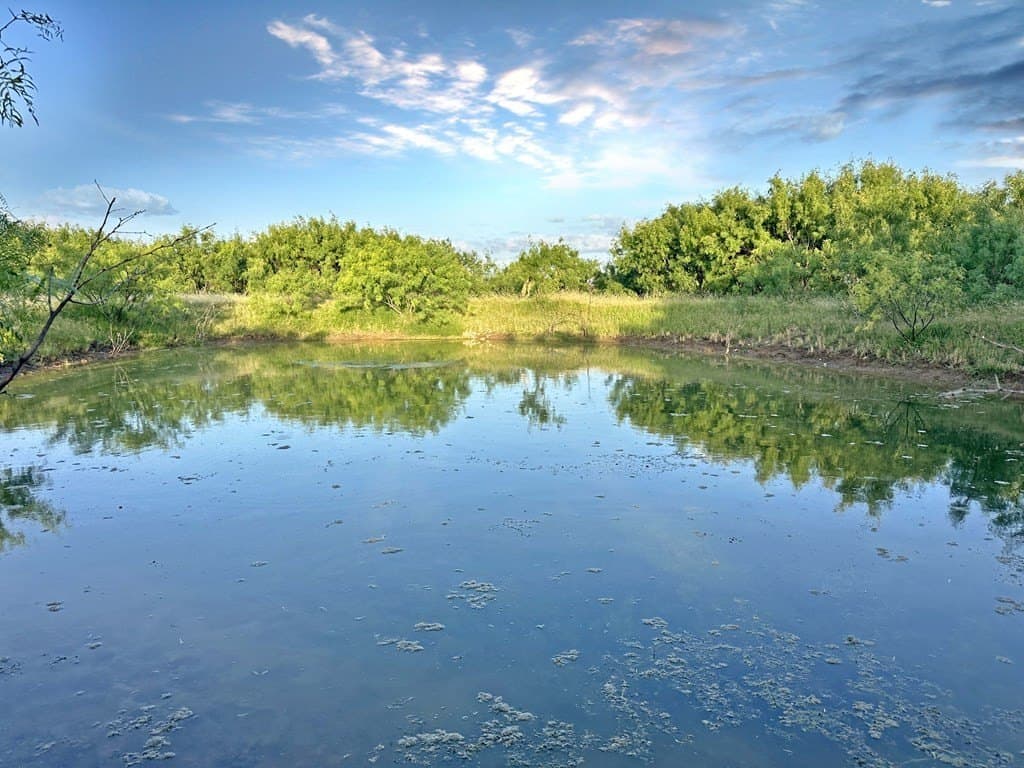 82 acres in Schleicher County - photo 14