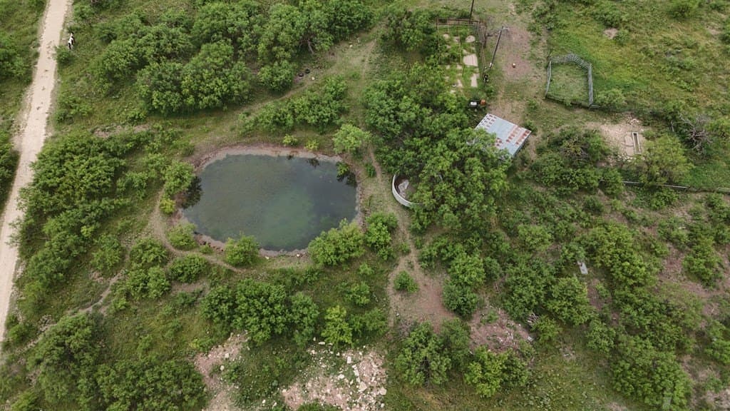 82 acres in Schleicher County gallery image 3
