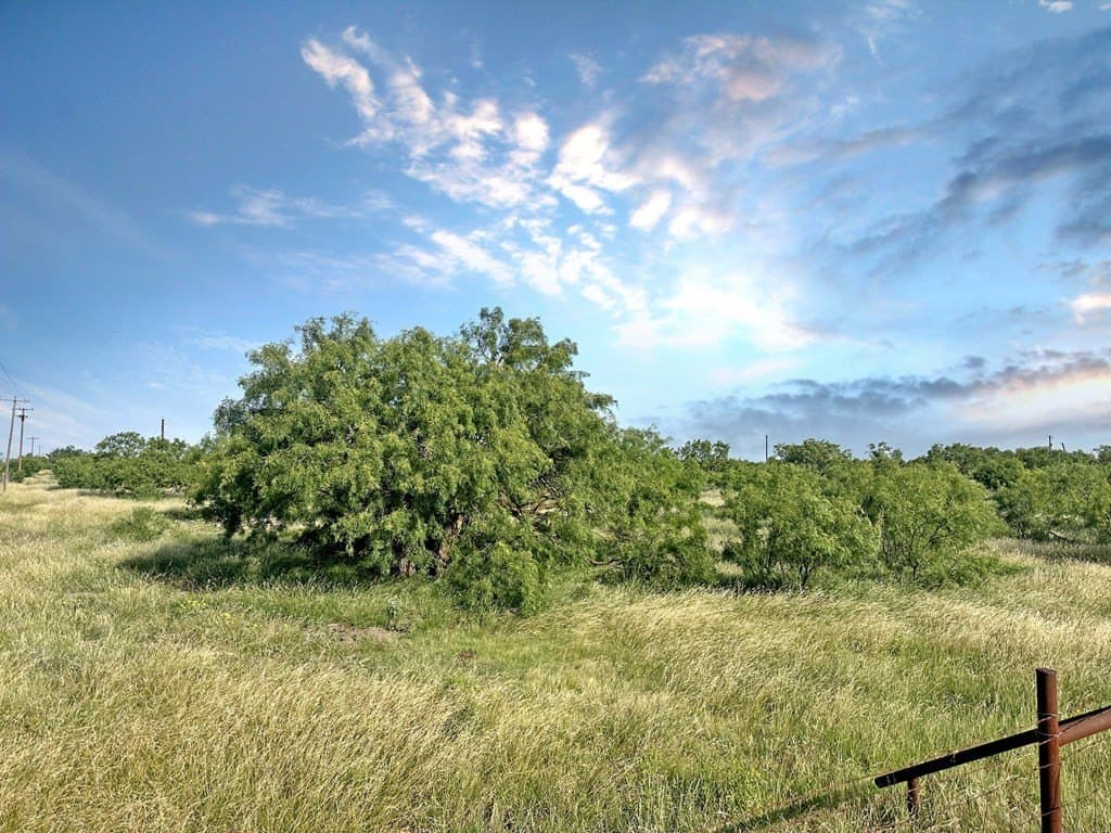 82 acres in Schleicher County - photo 8