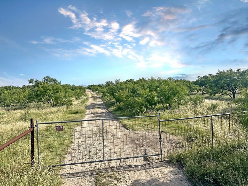 82 acres in Schleicher County gallery image 4
