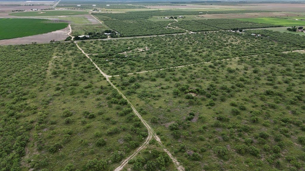 82 acres in Schleicher County gallery image 2