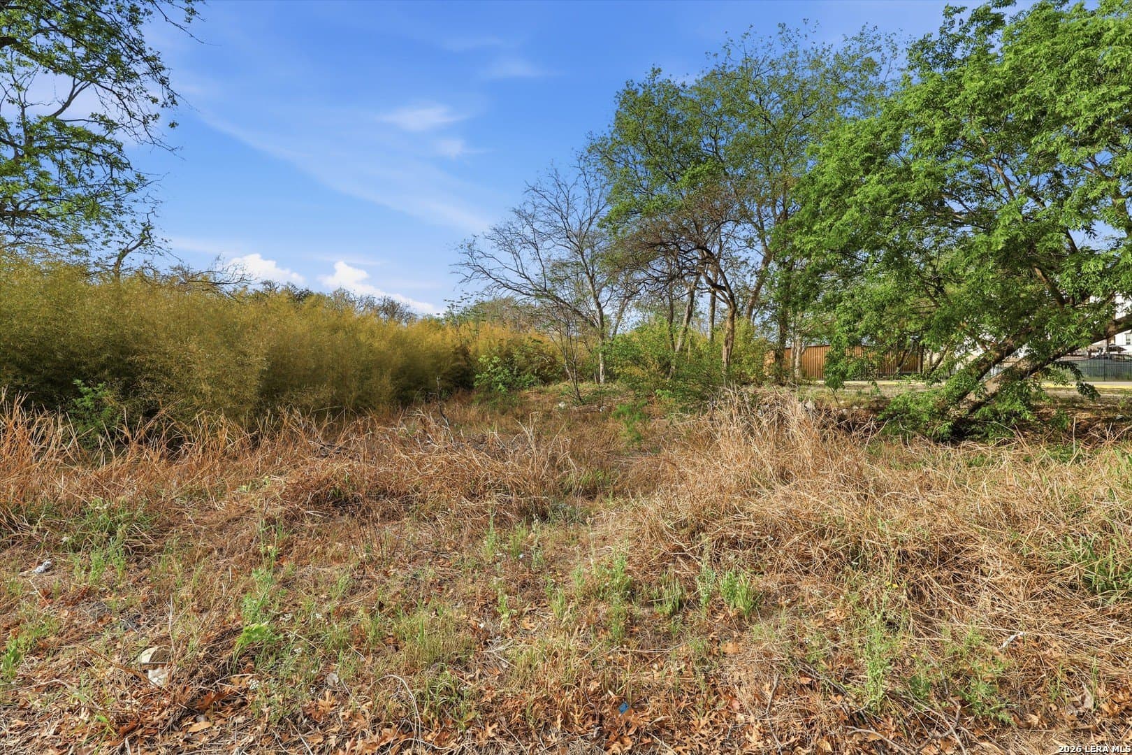 0.24 acres in Bexar County - photo 15