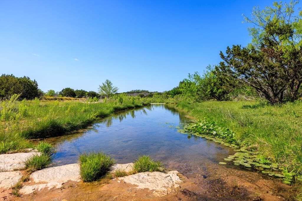 90 acres in Gillespie County - photo 6