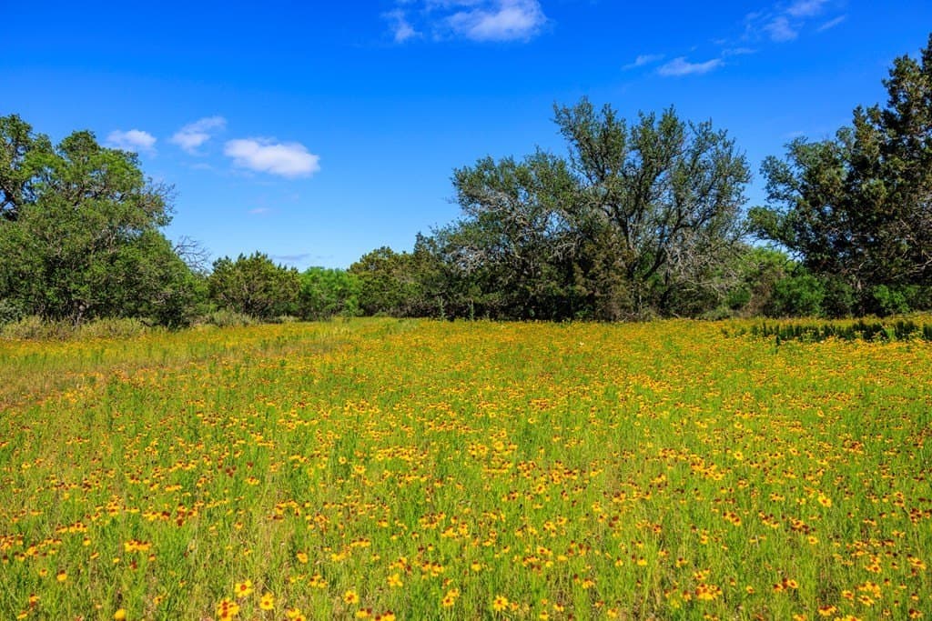 90 acres in Gillespie County - photo 12