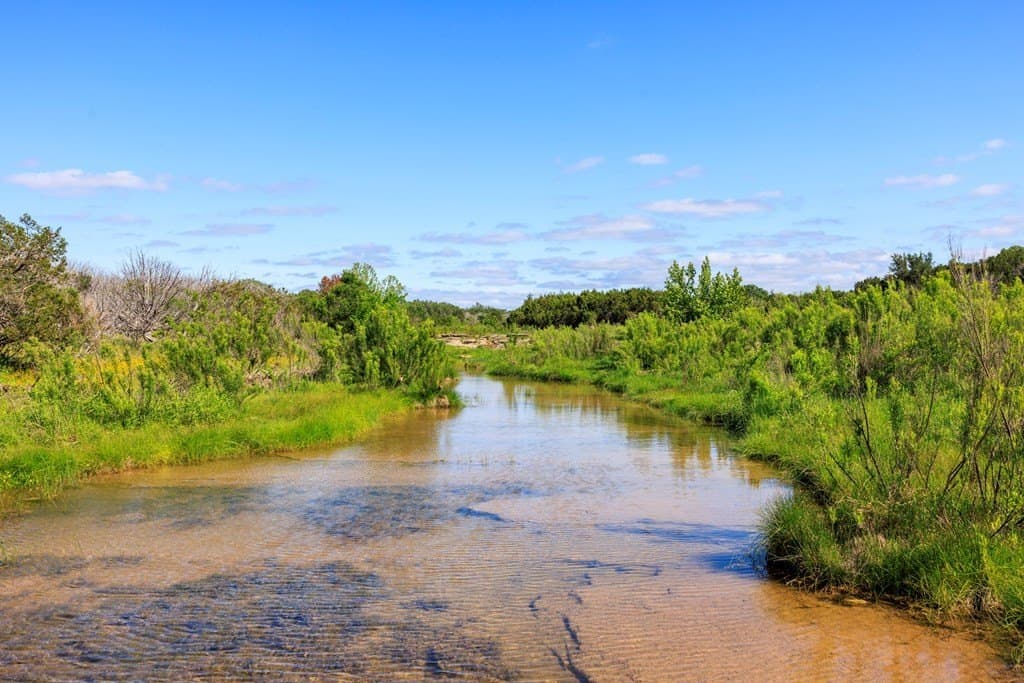 90 acres in Gillespie County - photo 8
