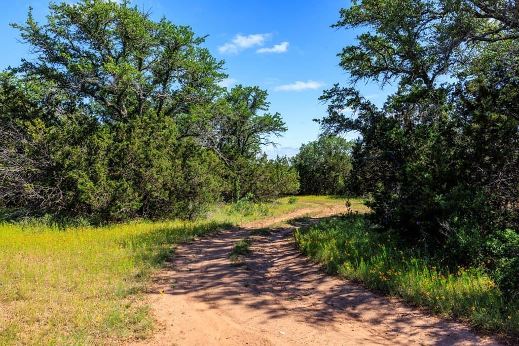 90 acres in Gillespie County - photo 9