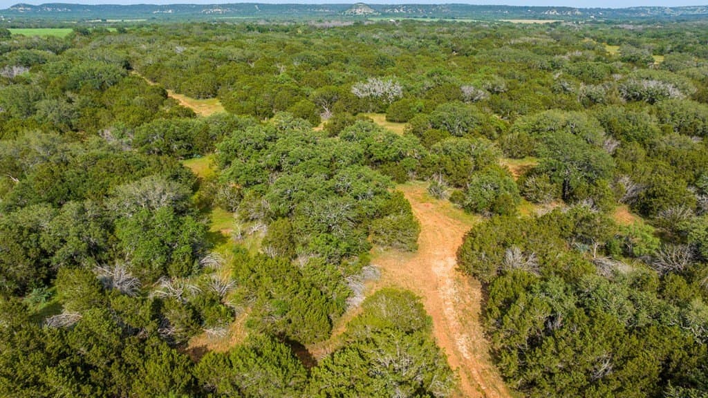 90 acres in Gillespie County - photo 10