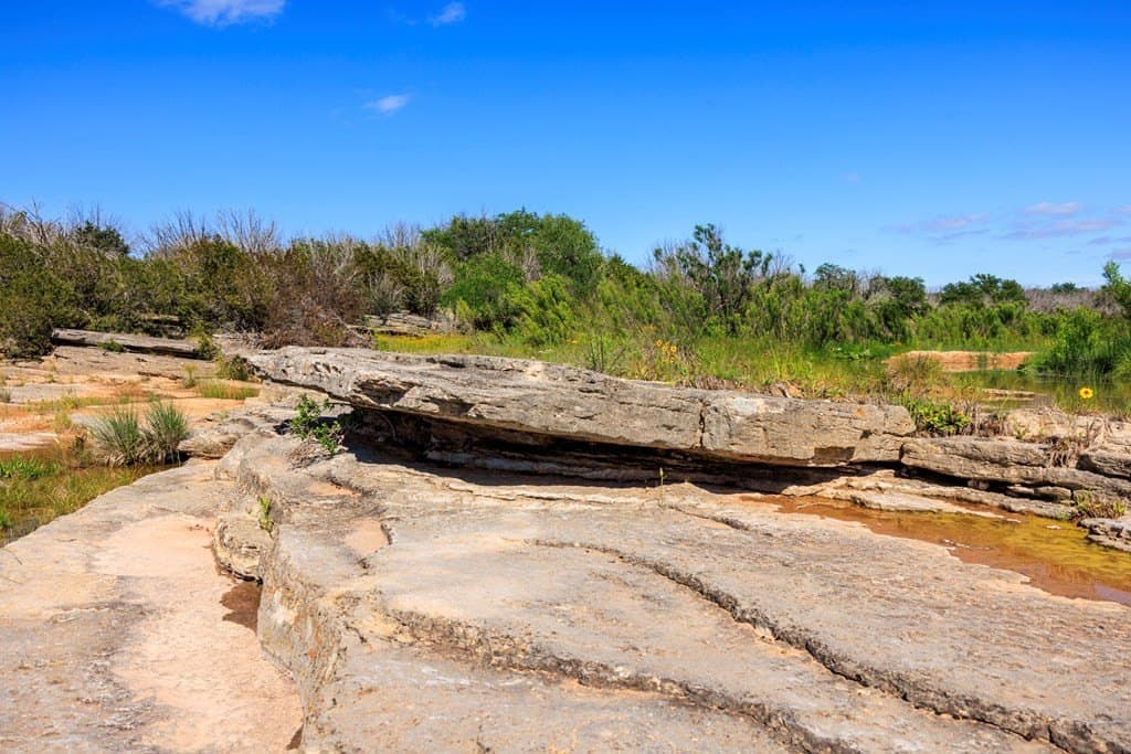 90 acres in Gillespie County - photo 7