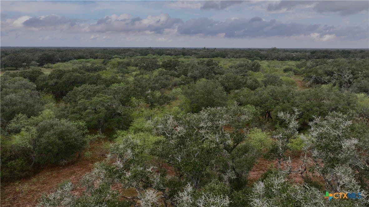 20 acres in Victoria County gallery image 2