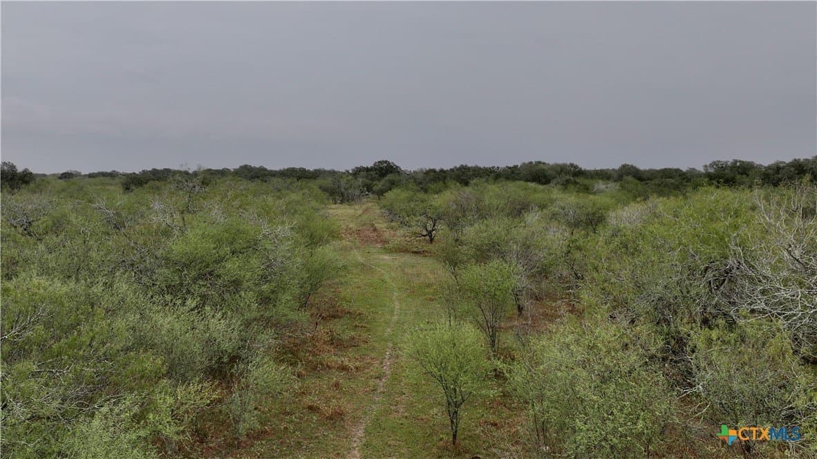 20 acres in Victoria County featured view