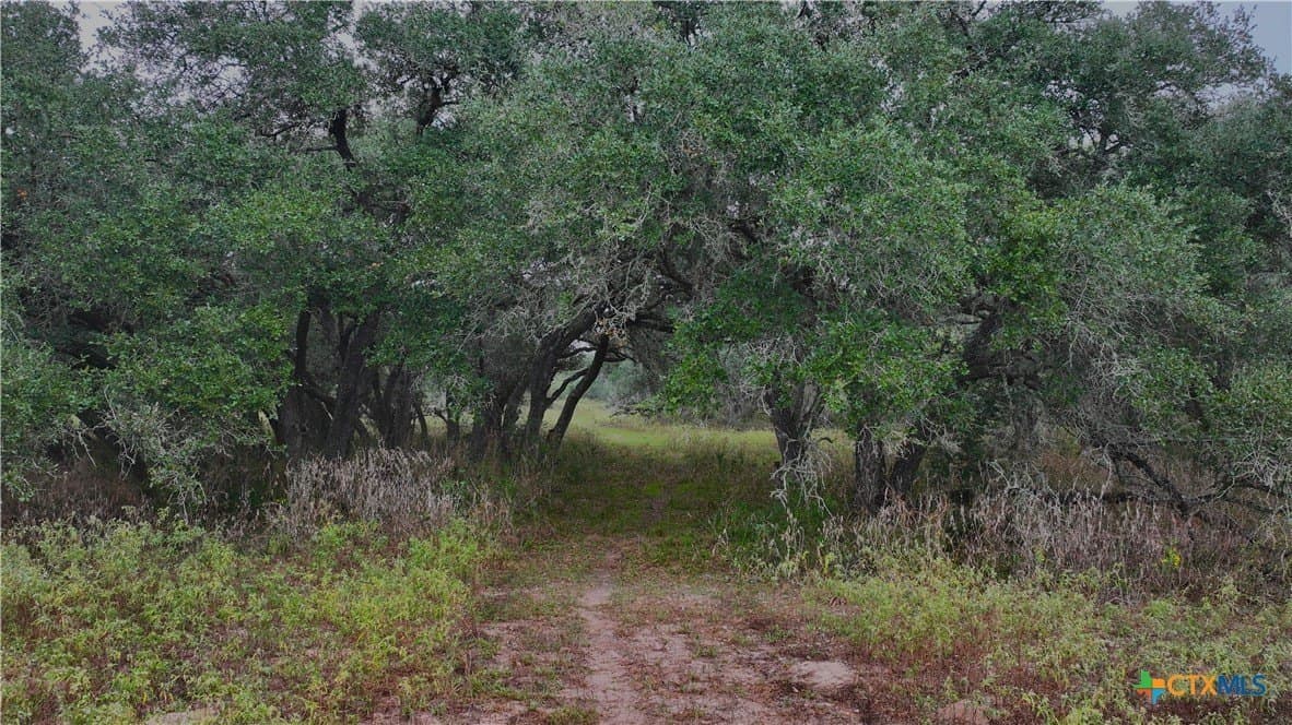 20 acres in Victoria County gallery image 3