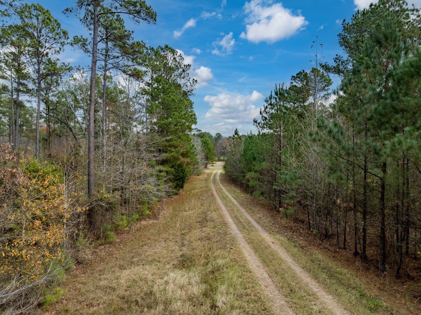 125 acres in Harrison County - photo 18