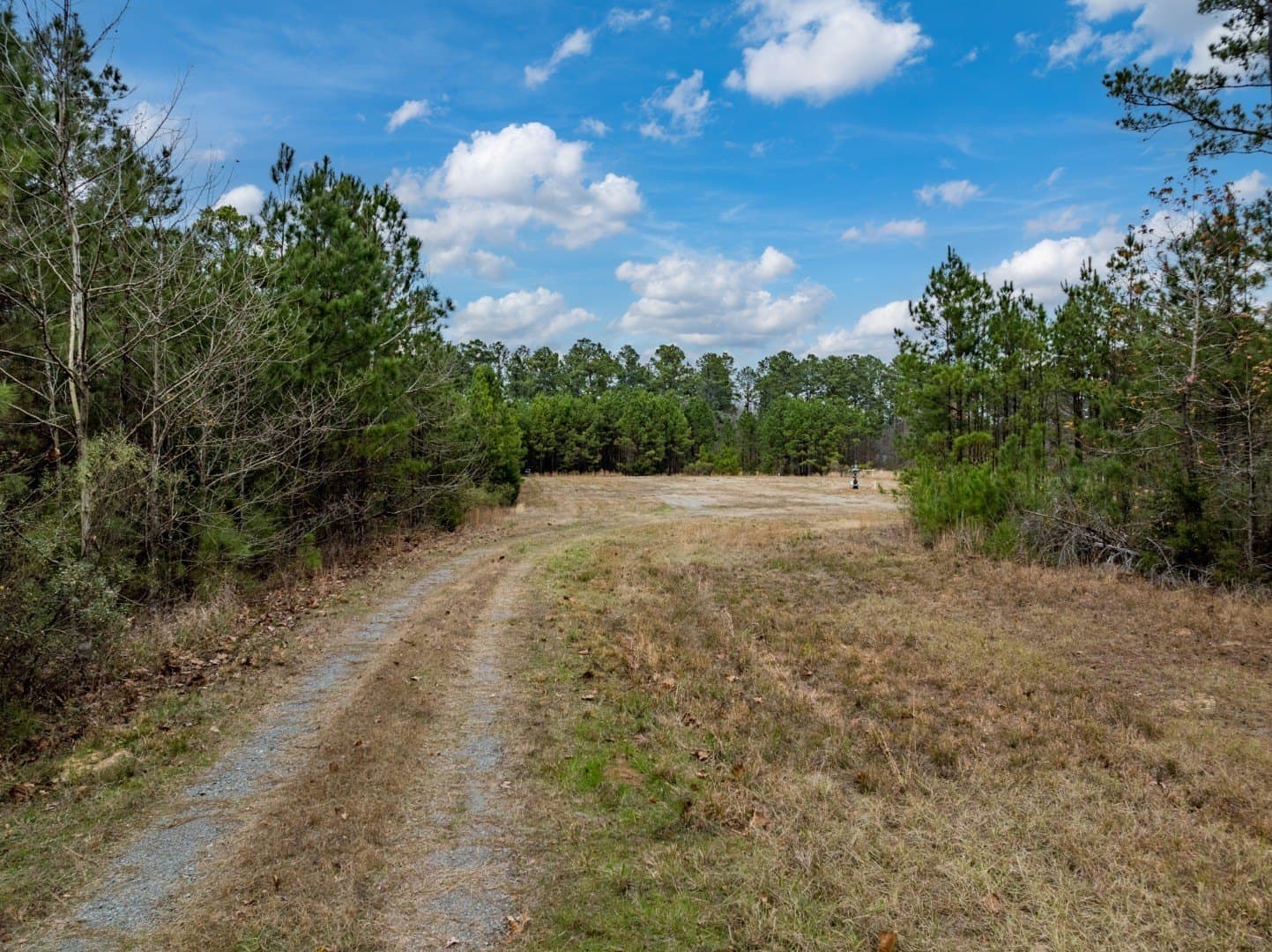 125 acres in Harrison County - photo 16