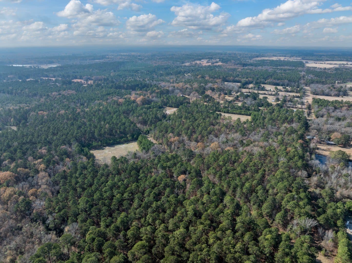 125 acres in Harrison County - photo 10
