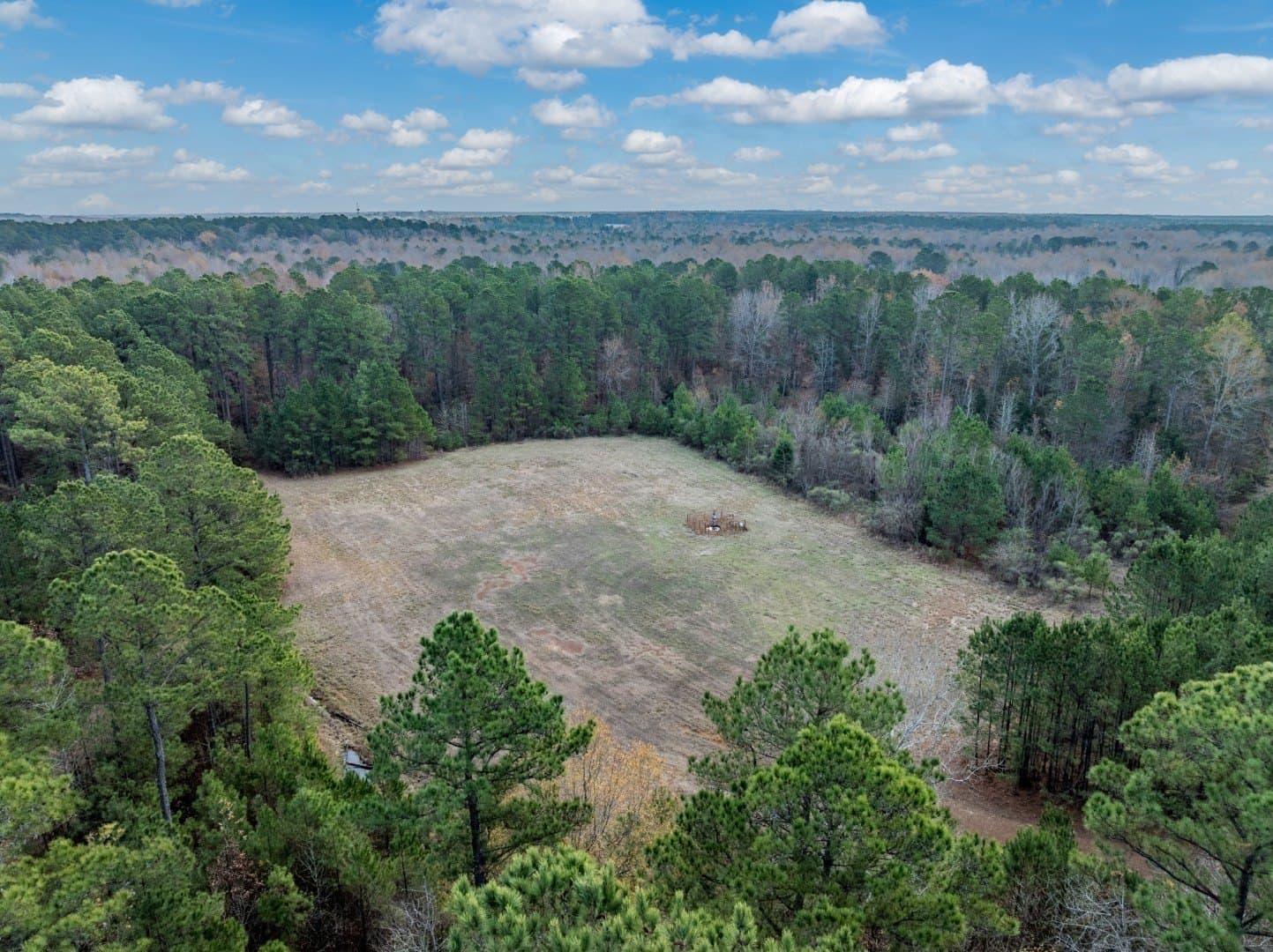 125 acres in Harrison County - photo 12