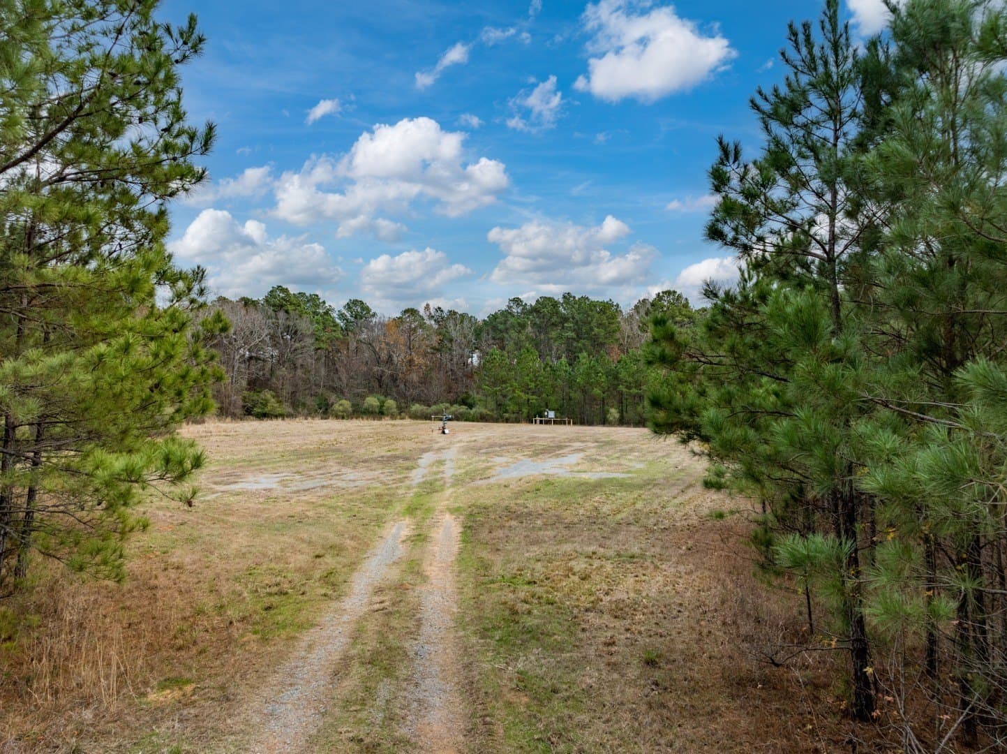 125 acres in Harrison County - photo 14
