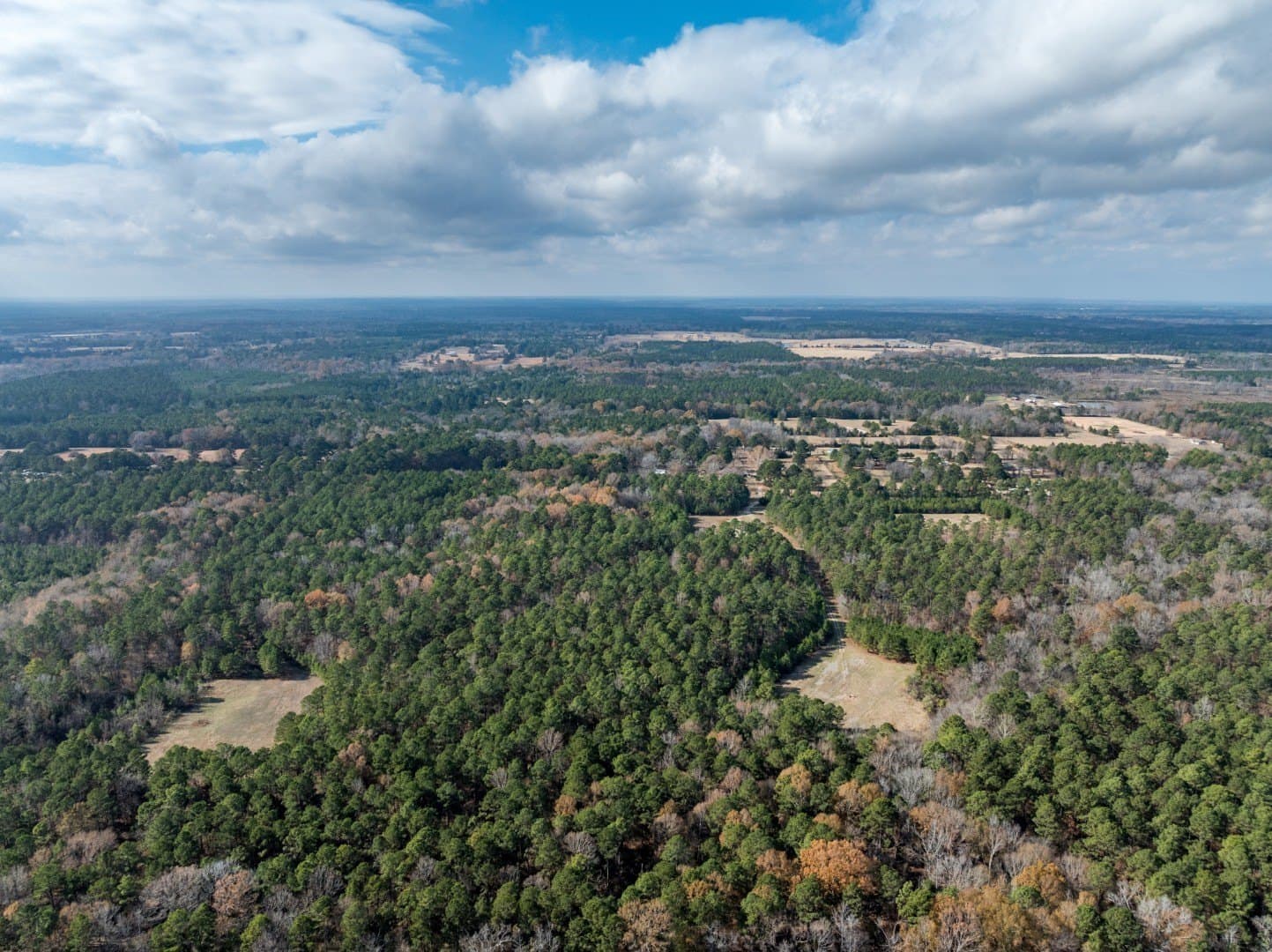 125 acres in Harrison County - photo 6