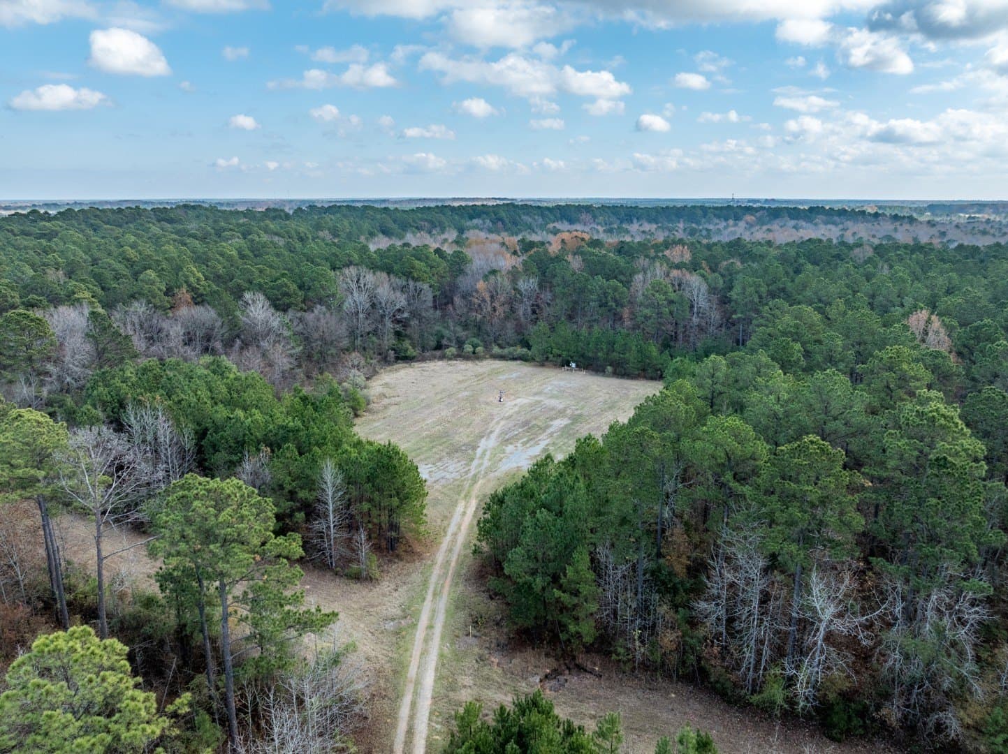 125 acres in Harrison County - photo 13