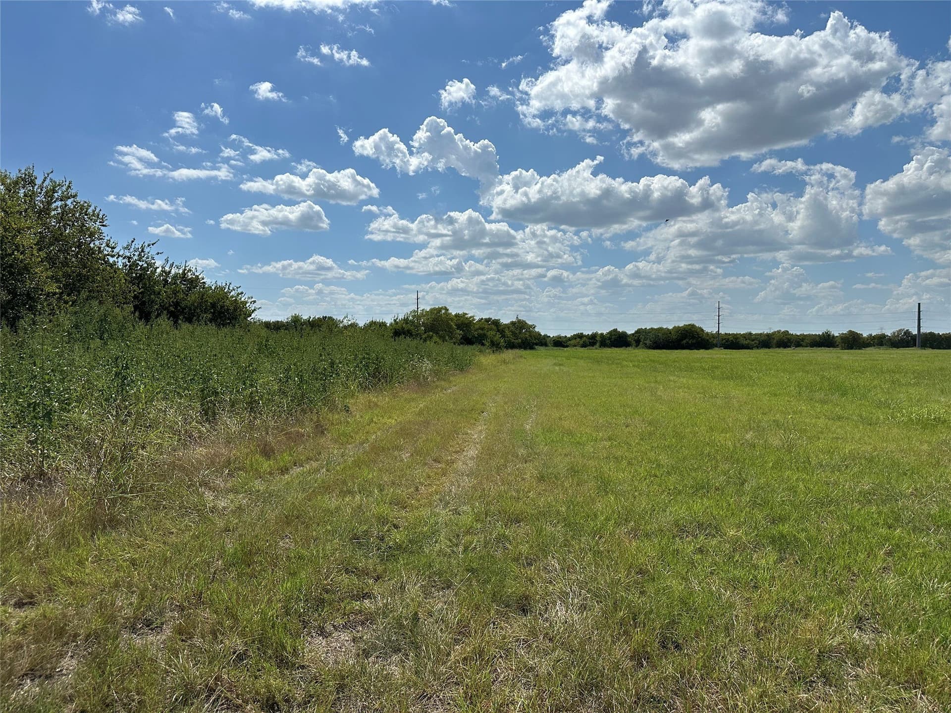 32.2 acres in Johnson County - photo 9