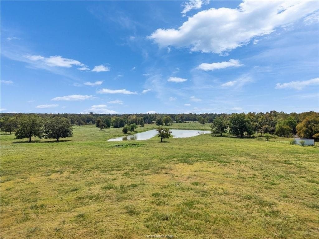 36.65 acres in Austin County - photo 39