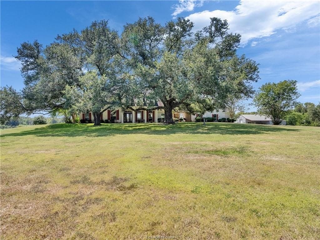 36.65 acres in Austin County gallery image 2