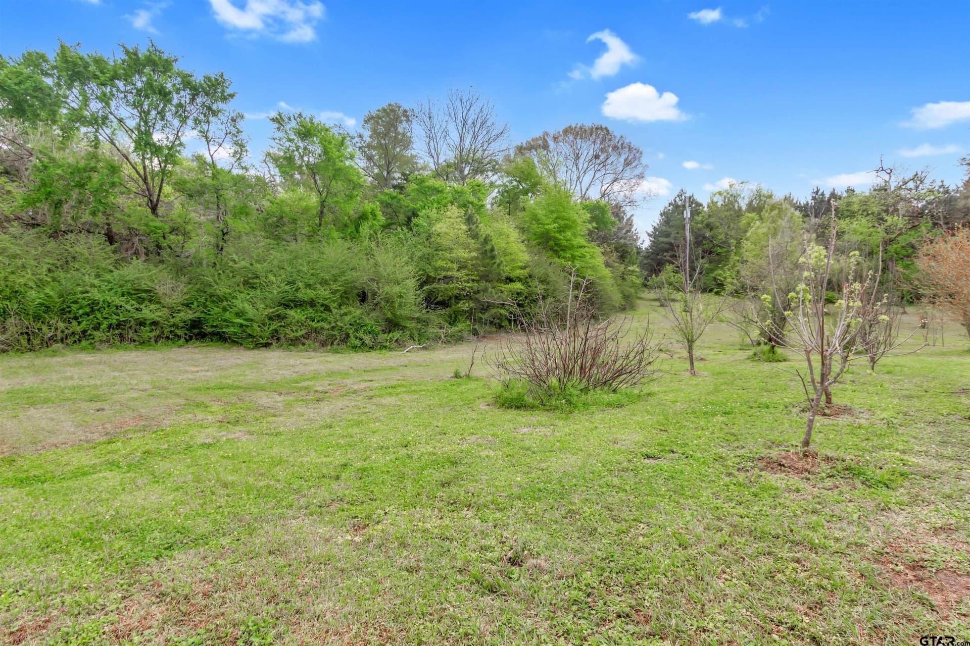 5.46 acres in Smith County gallery image 2
