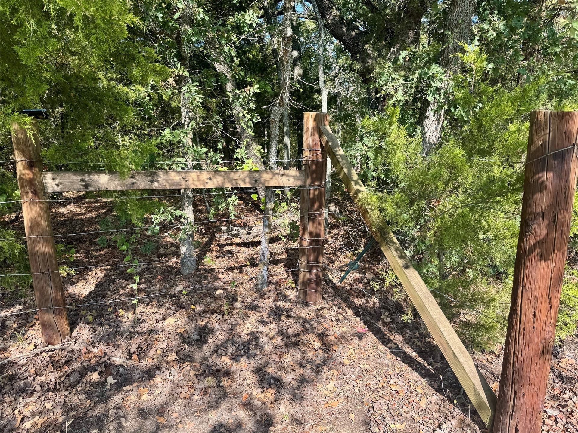 10.01 acres in Hunt County - photo 37