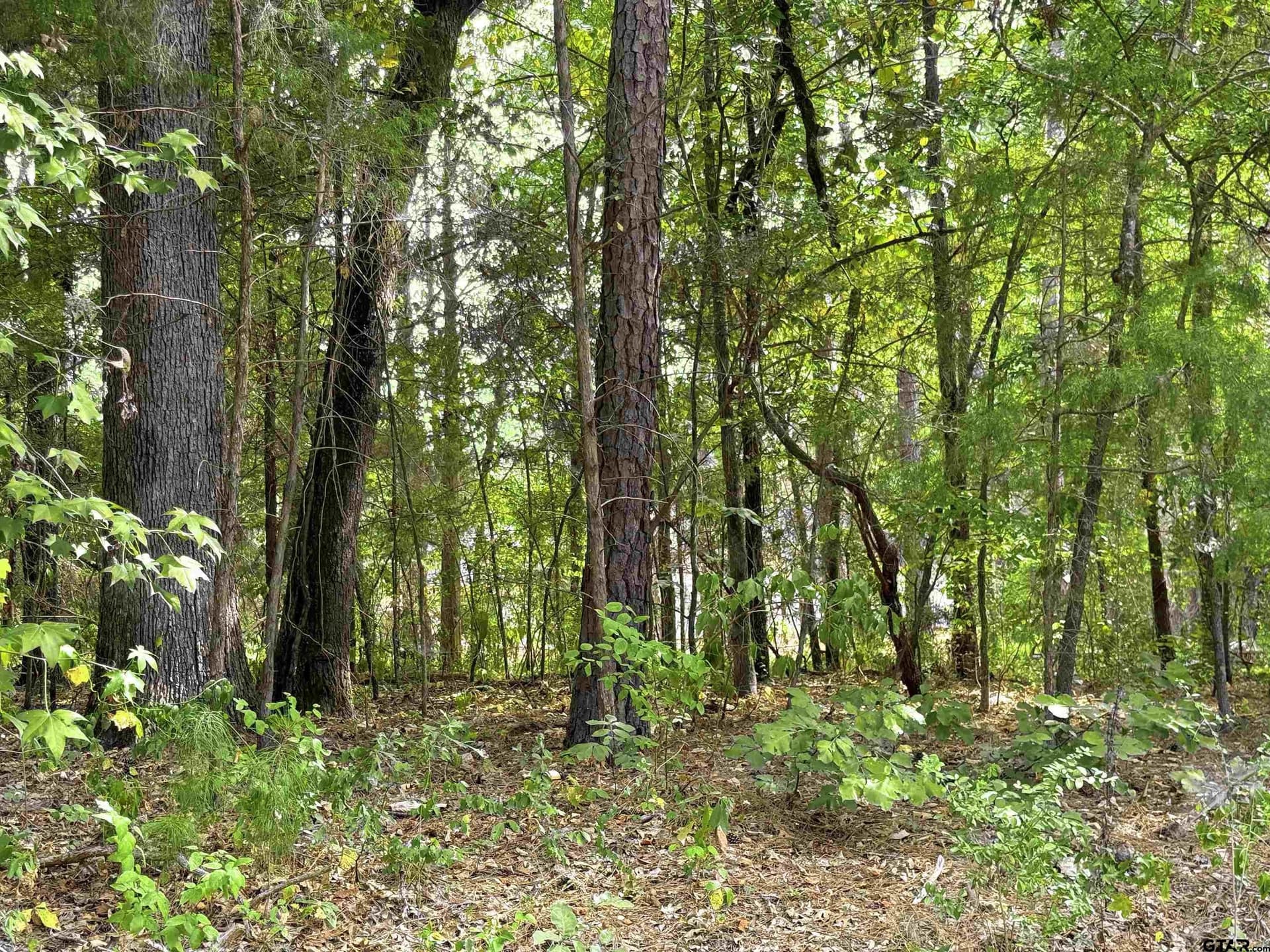0.31 acres in Cherokee County - photo 3