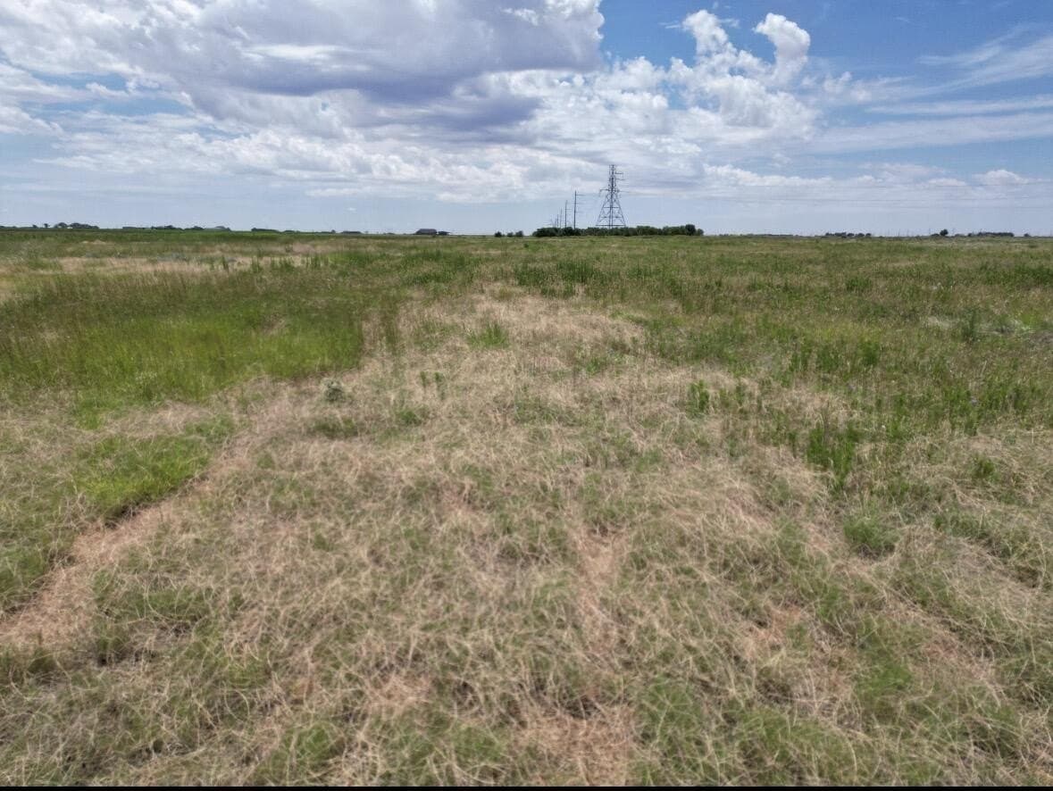 40.1 acres in Lubbock County gallery image 3