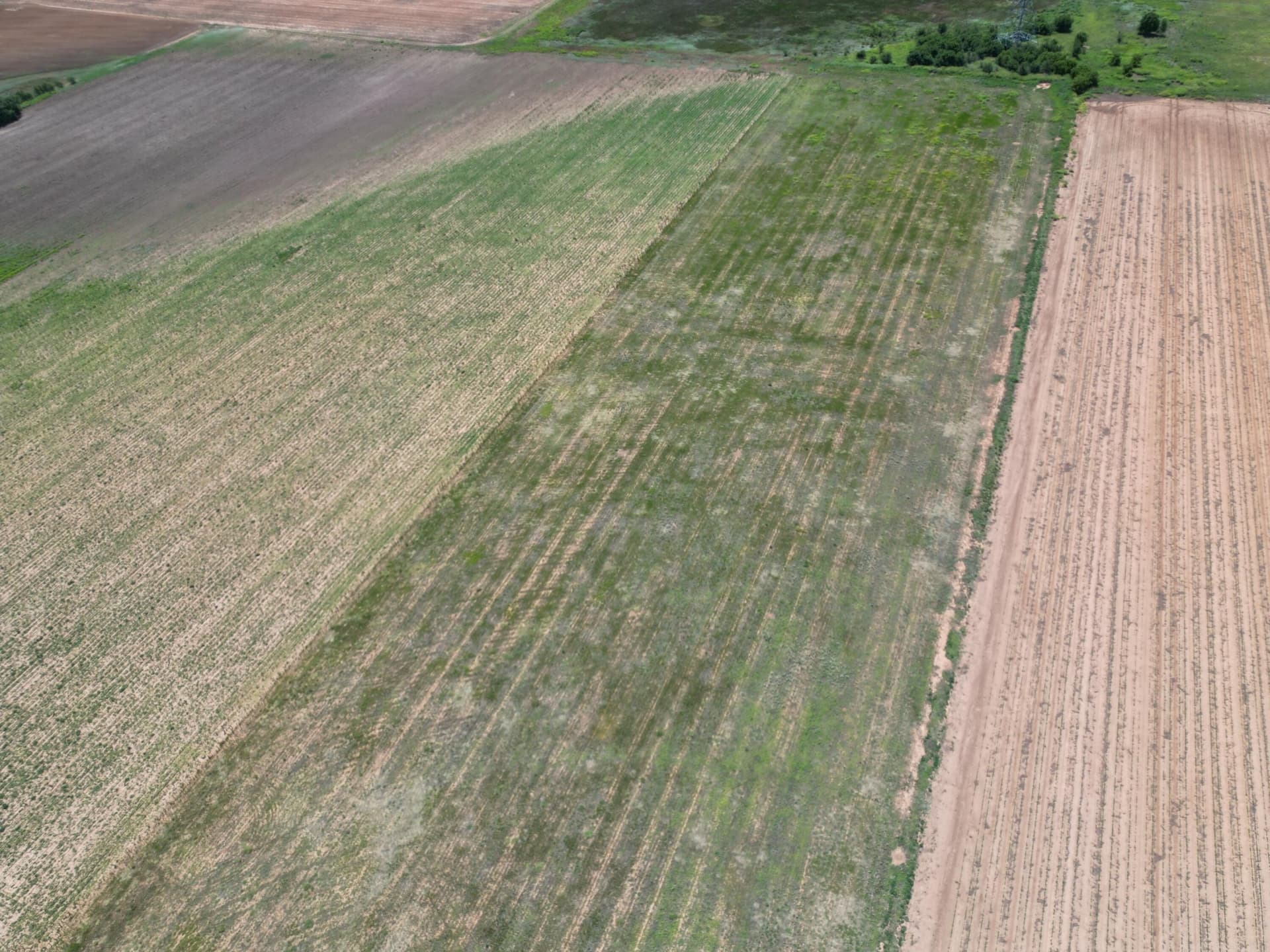 40.1 acres in Lubbock County - photo 10