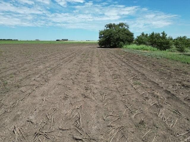 40.1 acres in Lubbock County gallery image 4